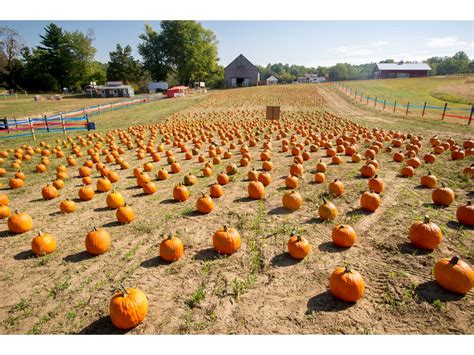 blazers pumpkin patch|local pumpkin farms near me.